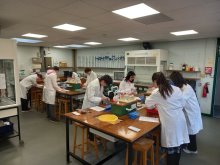 Pupils put their observation skills to the test in Hawksley-Burbury Science Competition