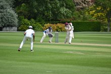 Shrewsbury's Senior Boys and Girls' cricket teams just one win away from a Lord's Final