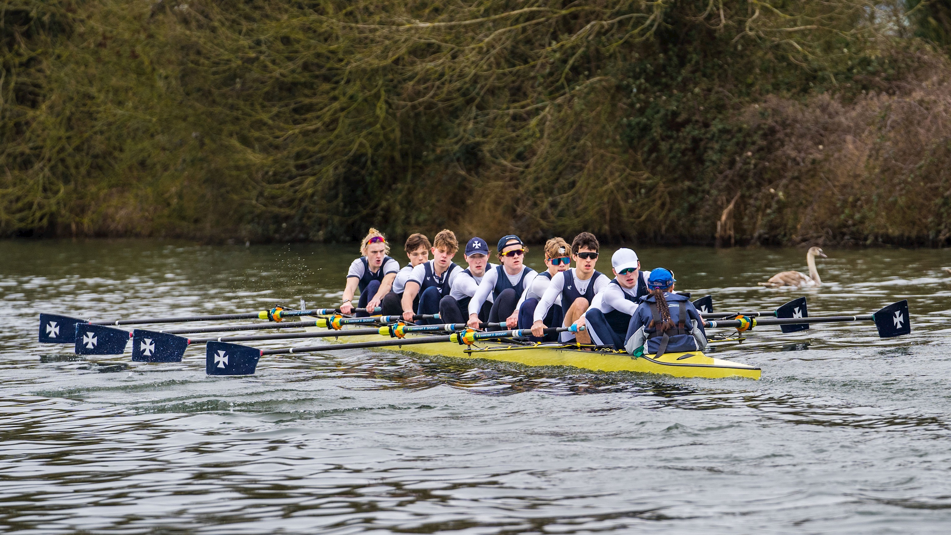 Podium finishes for rowers at Wycliffe Head event