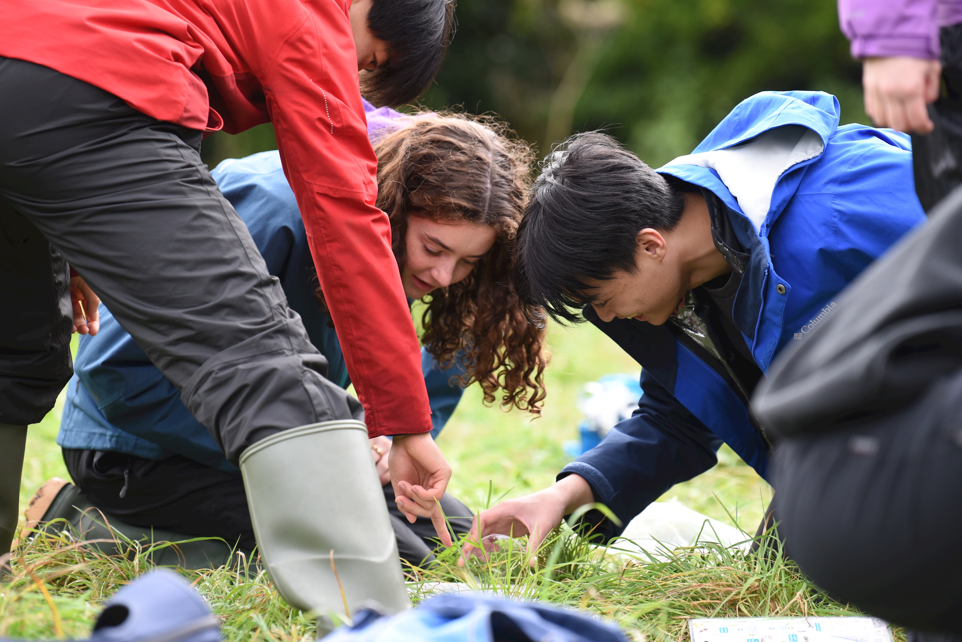 Biology Fieldwork brings learning to life for Upper Sixth Form pupils